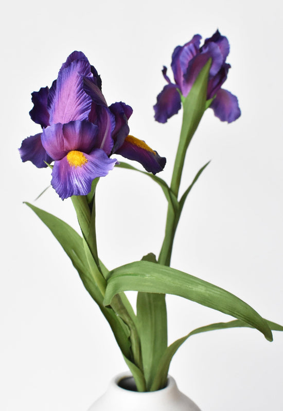 Purple Iris Stem, 28"