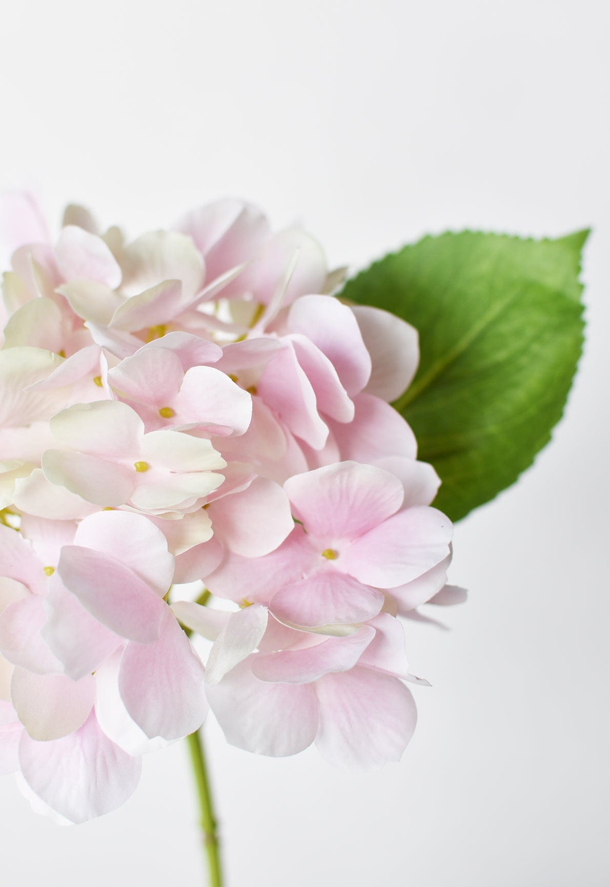 Hydrangea Stem, 10", Light Pink