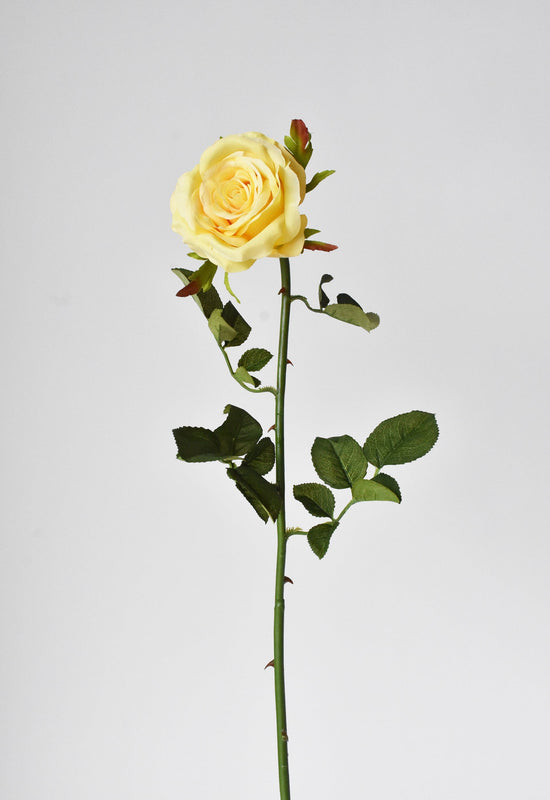 Open Garden Rose Stem, 27", Yellow