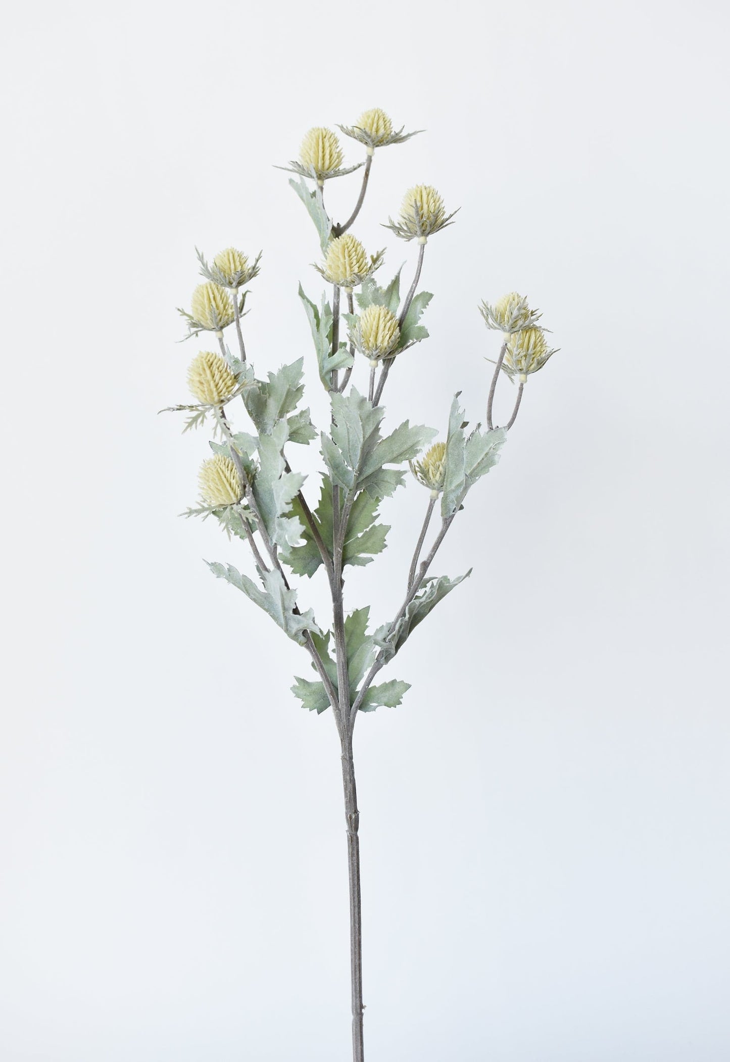 Thistle Stem, 28", Yellow