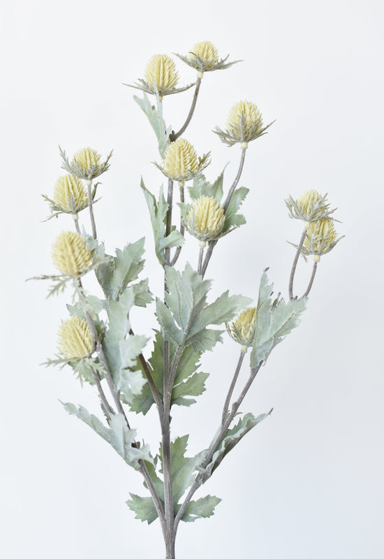 Thistle Stem, 28", Yellow