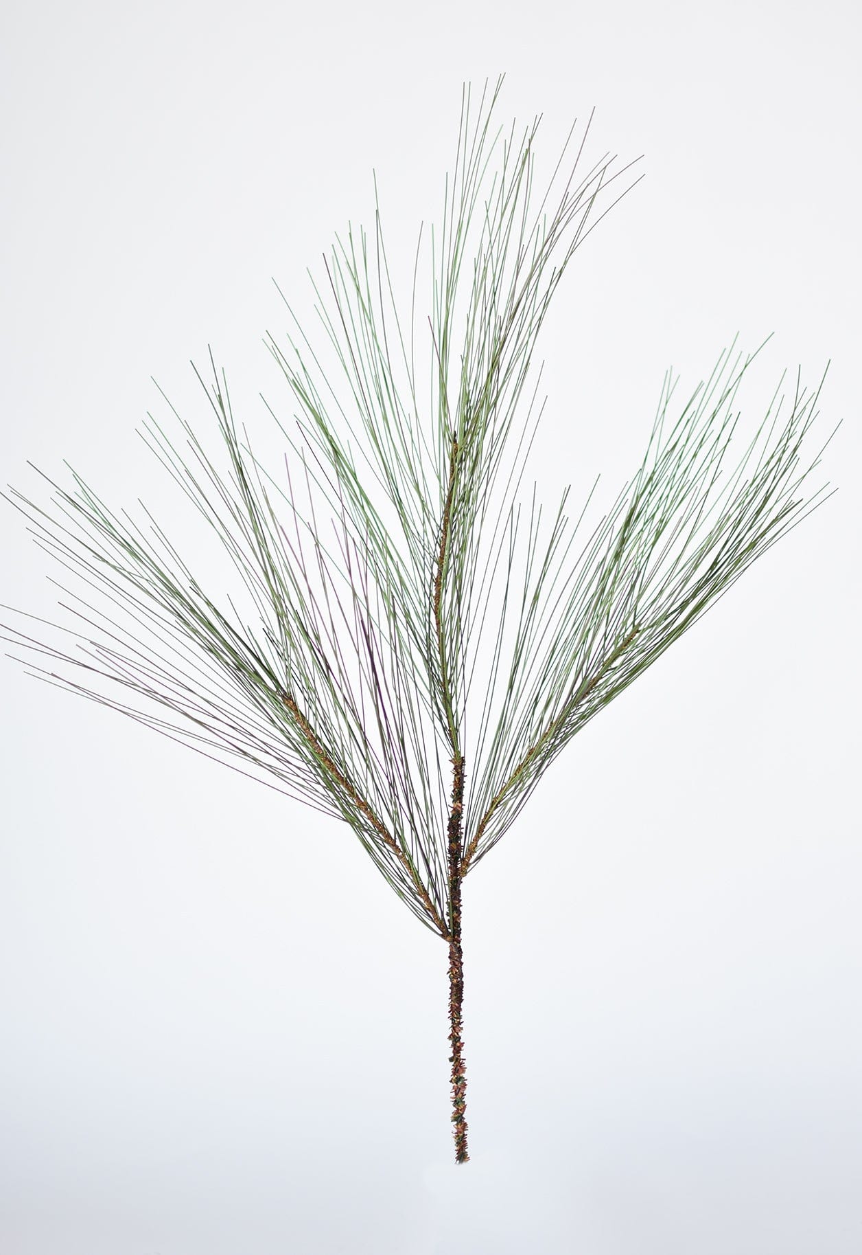 Long Needle Pine Spray Stem, 23"