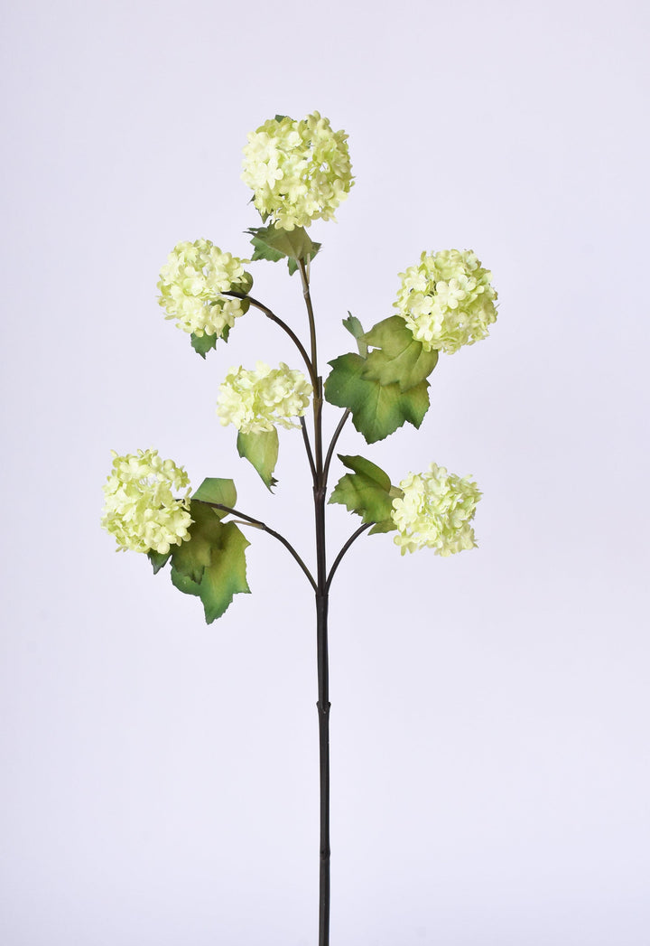 Snowball Hydrangea Stem, 30", Green