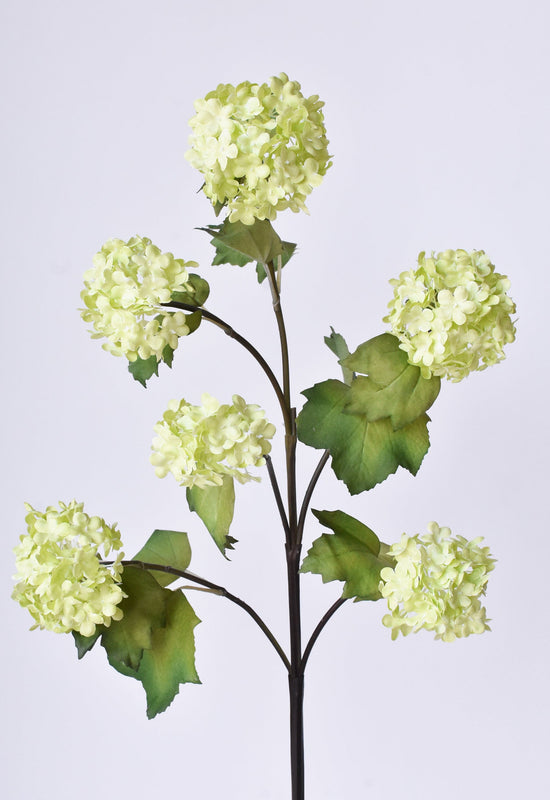 Snowball Hydrangea Stem, 30", Green