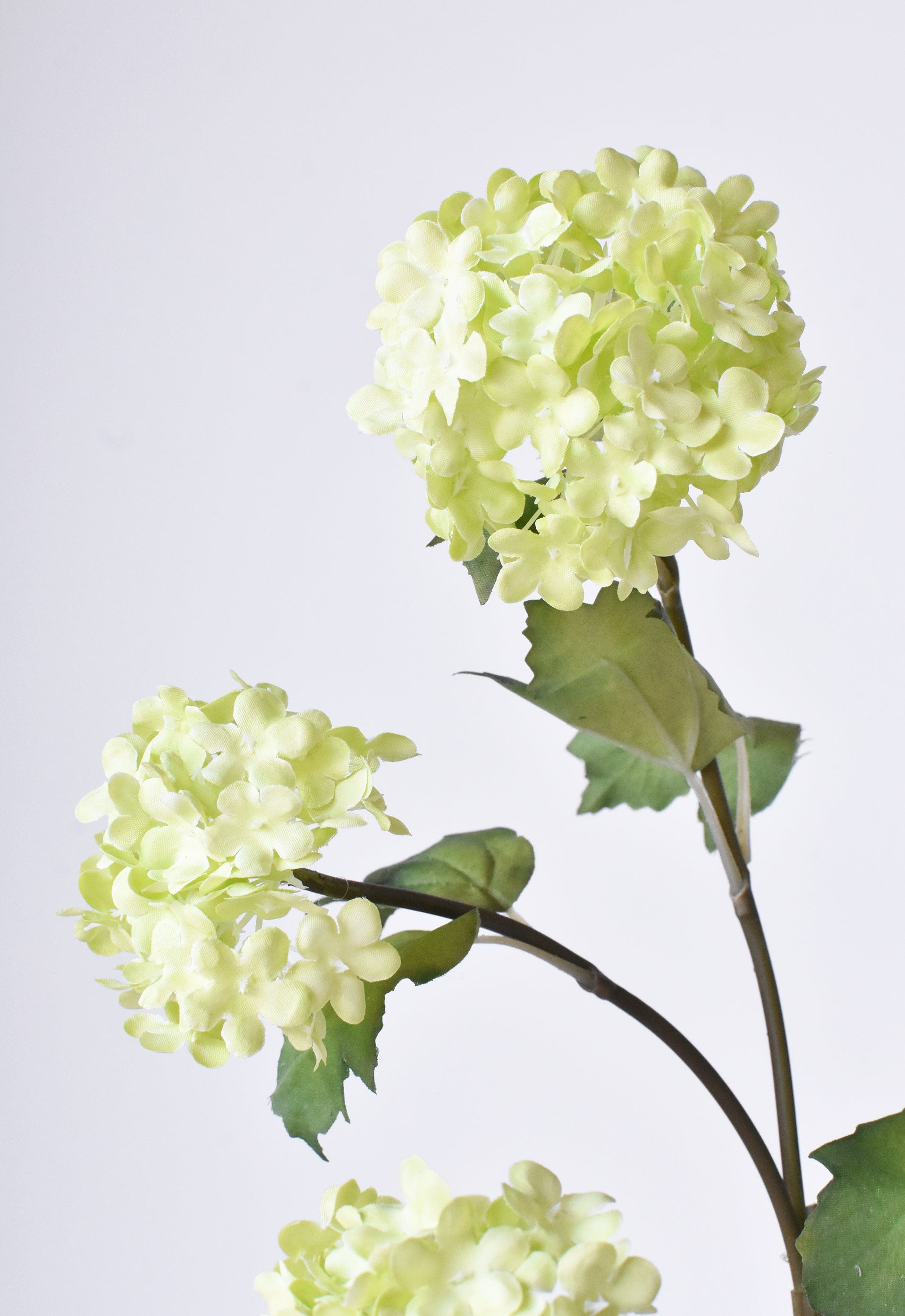 Snowball Hydrangea Stem, 30", Green