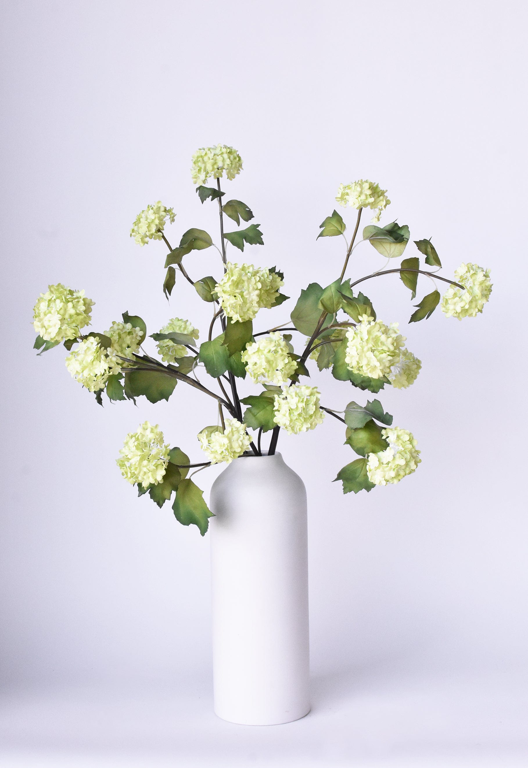 Snowball Hydrangea Stem, 30", Green