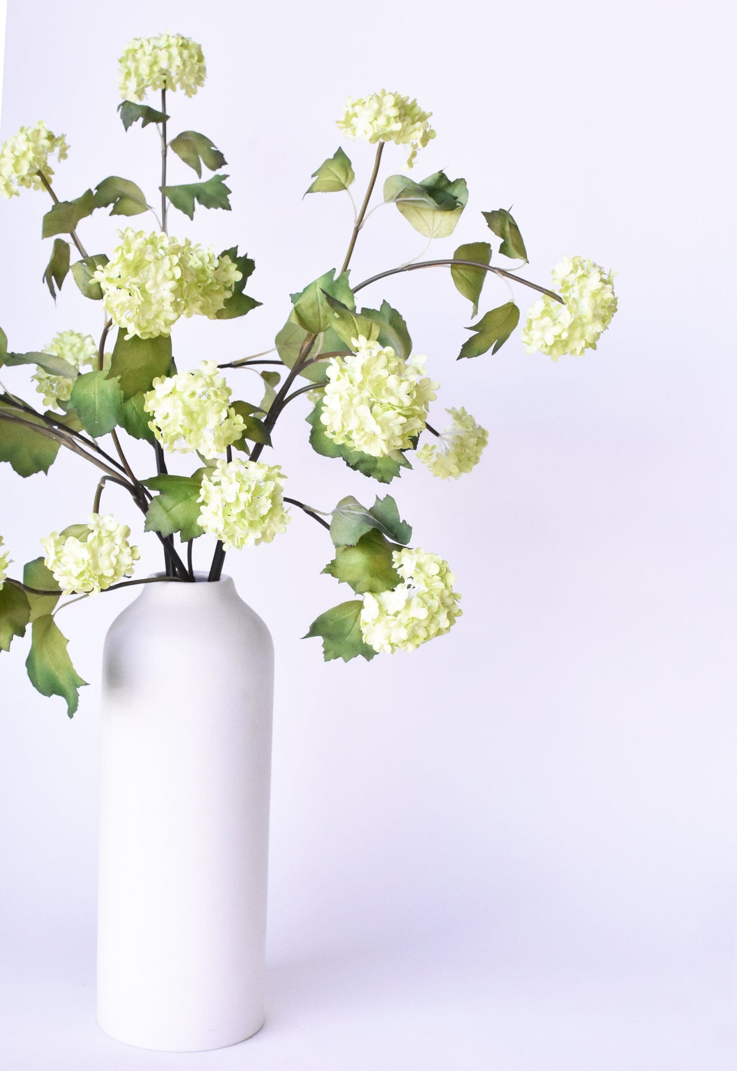 Snowball Hydrangea Stem, 30", Green