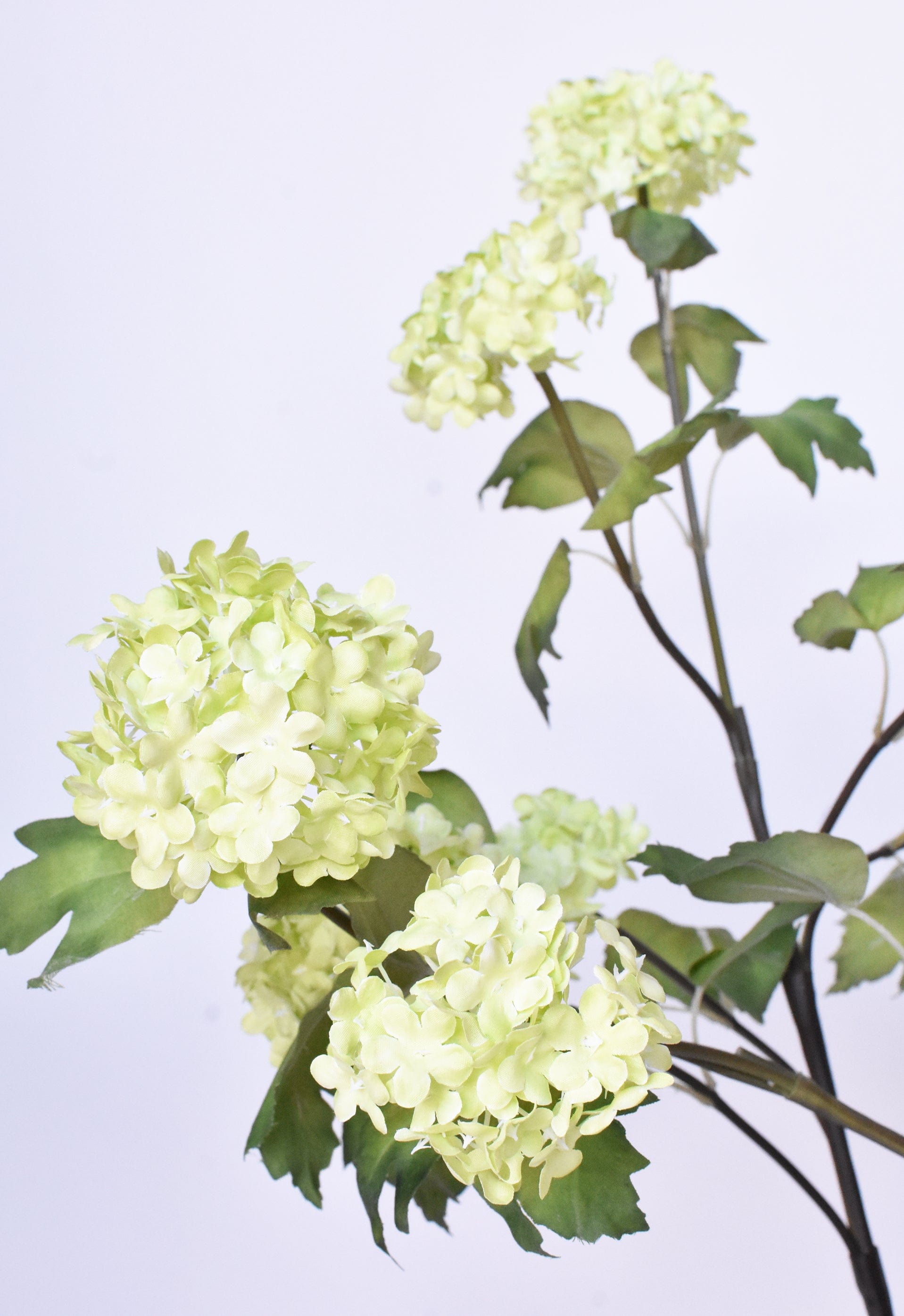 Snowball Hydrangea Stem, 30", Green