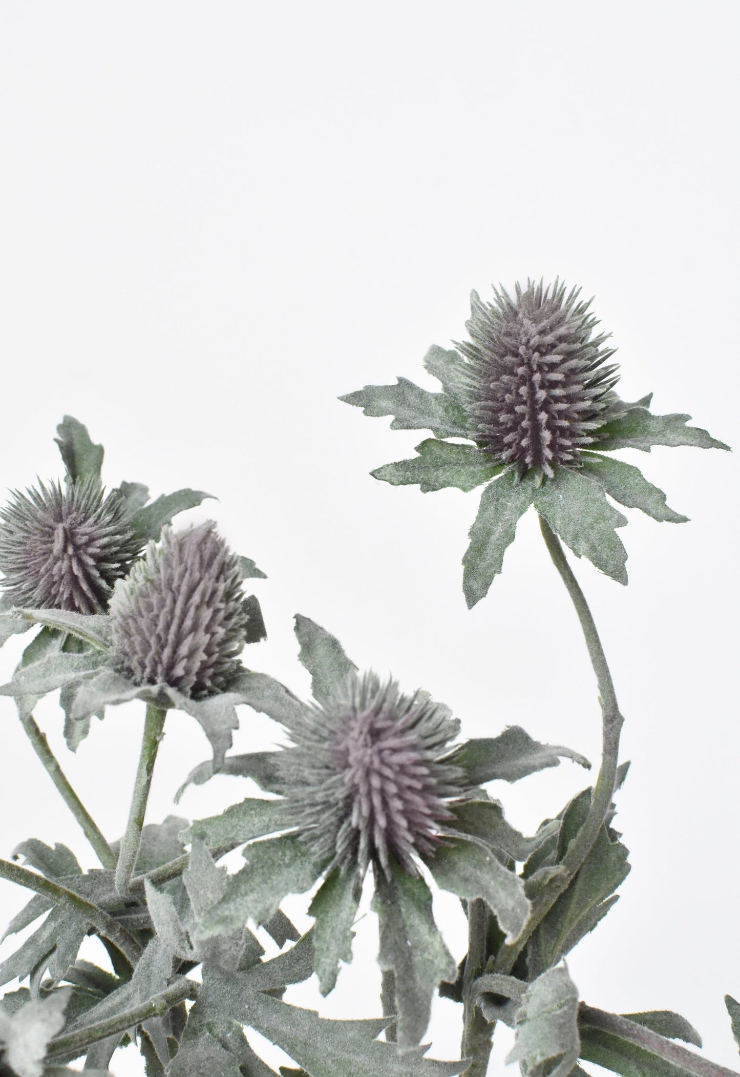 Thistle Stem, 17", Green & Lavender