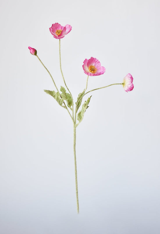 Poppy Stem, 24", Pink