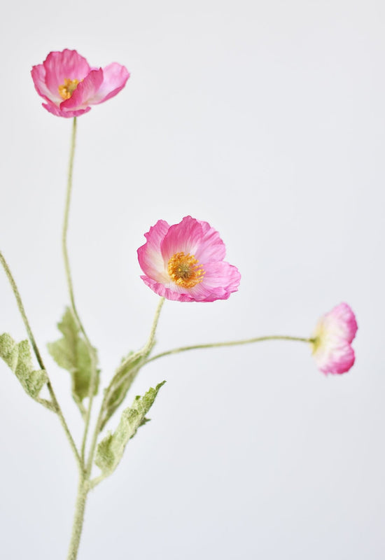 Poppy Stem, 24", Pink