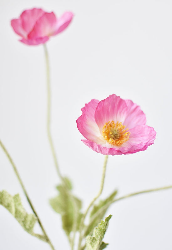 Poppy Stem, 24", Pink