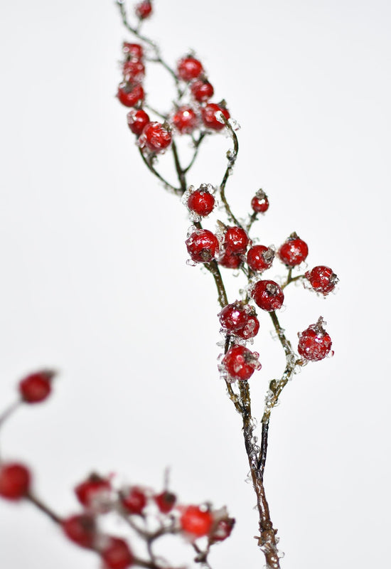 Iced Berry Stem, 29", Red