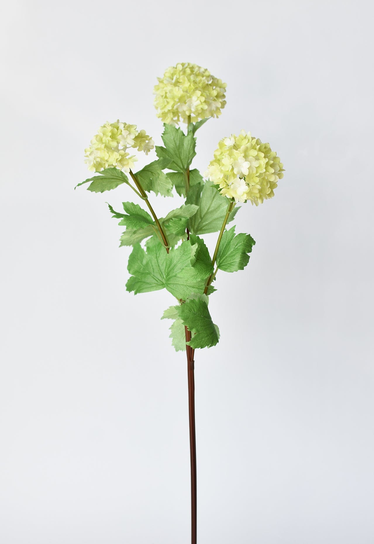 Snowball Hydrangea Stem, 29", Green & White