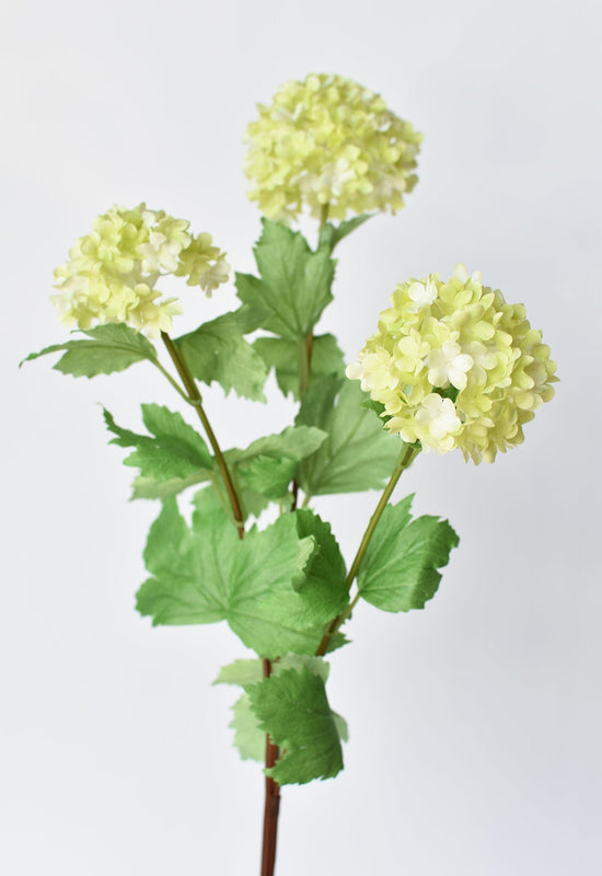 Snowball Hydrangea Stem, 29", Green & White