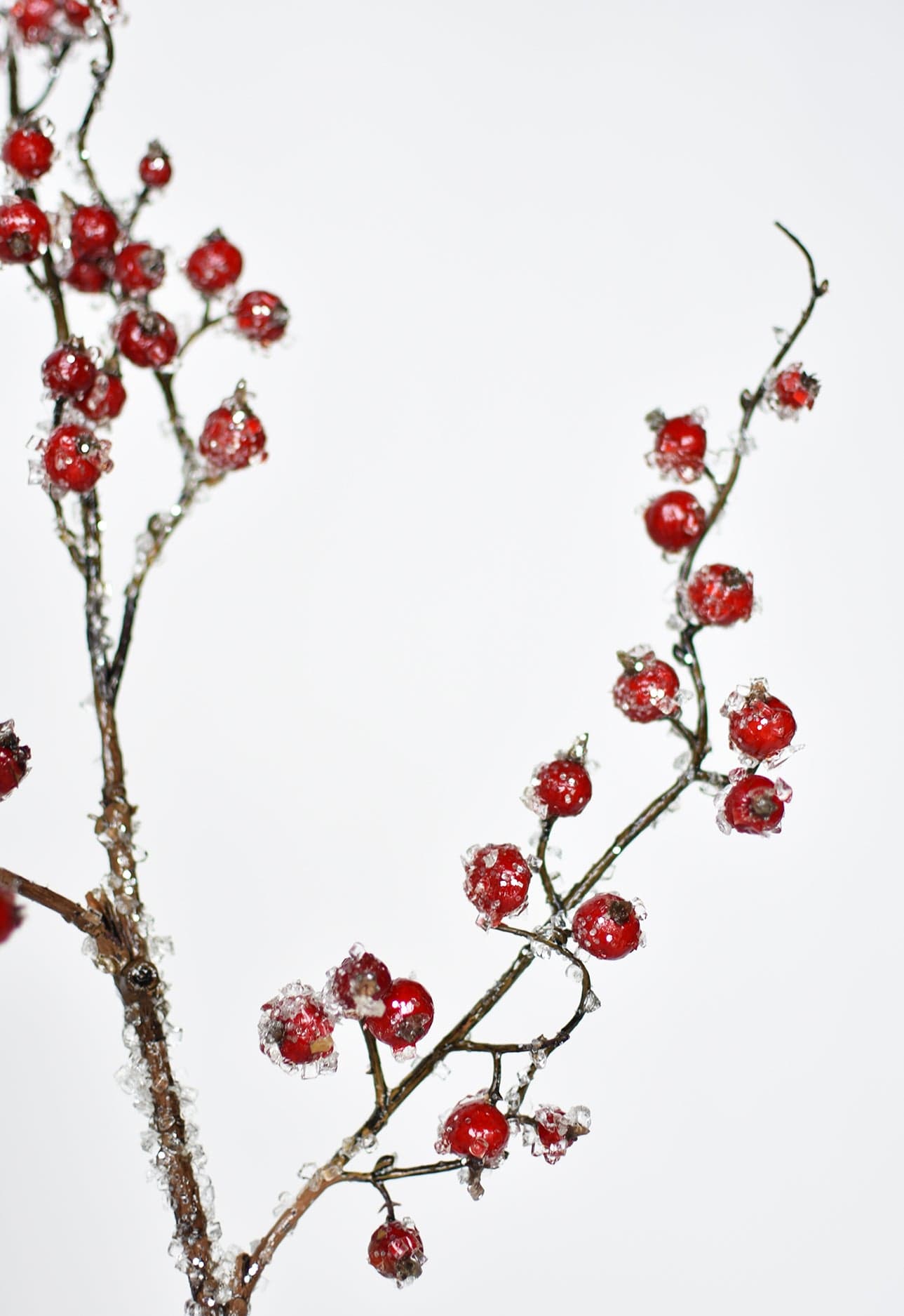 Iced Berry Stem, 29", Red