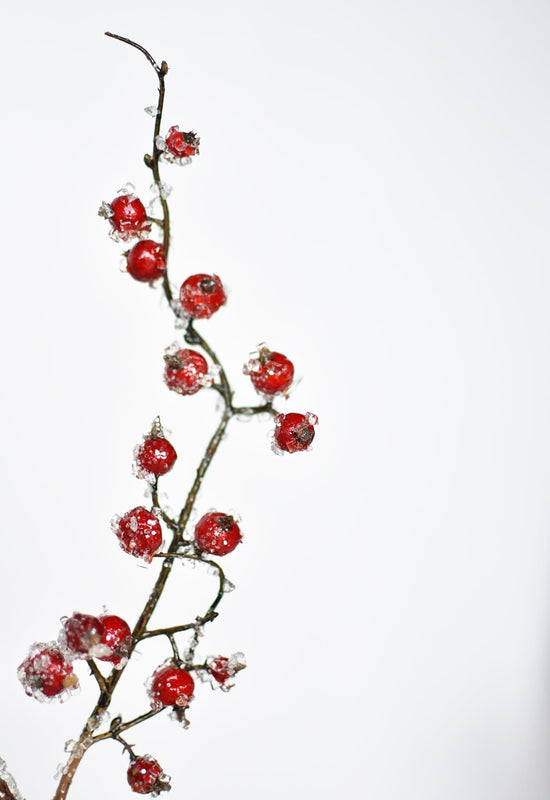 Iced Berry Stem, 29", Red