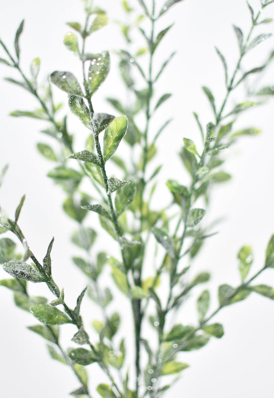 Frosted Boxwood Greenery Stem, 23"