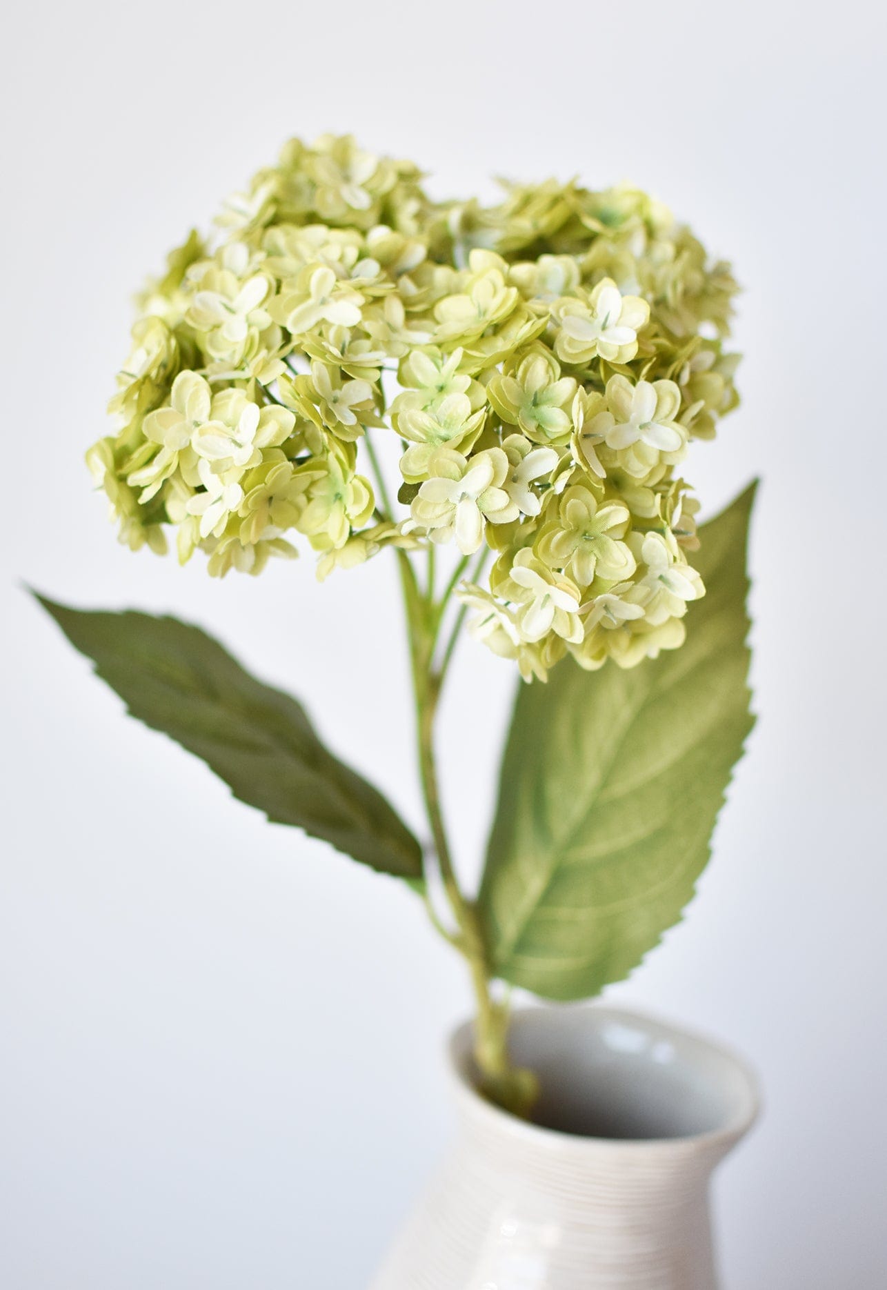 Hydrangea Stem, 25”, Apple Green