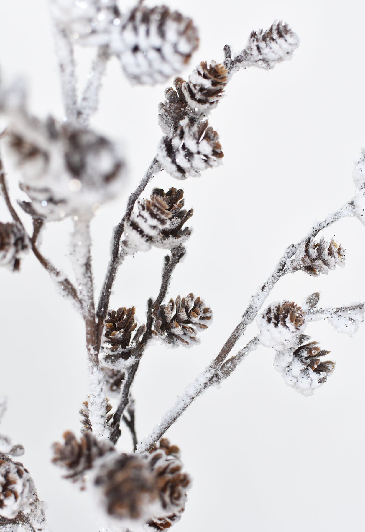 Snowed Pinecone Spray Stem, 31.5"