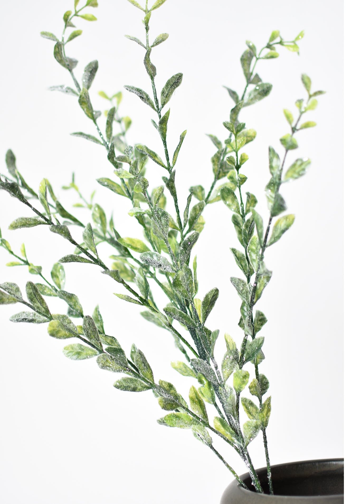 Frosted Boxwood Greenery Stem, 23"