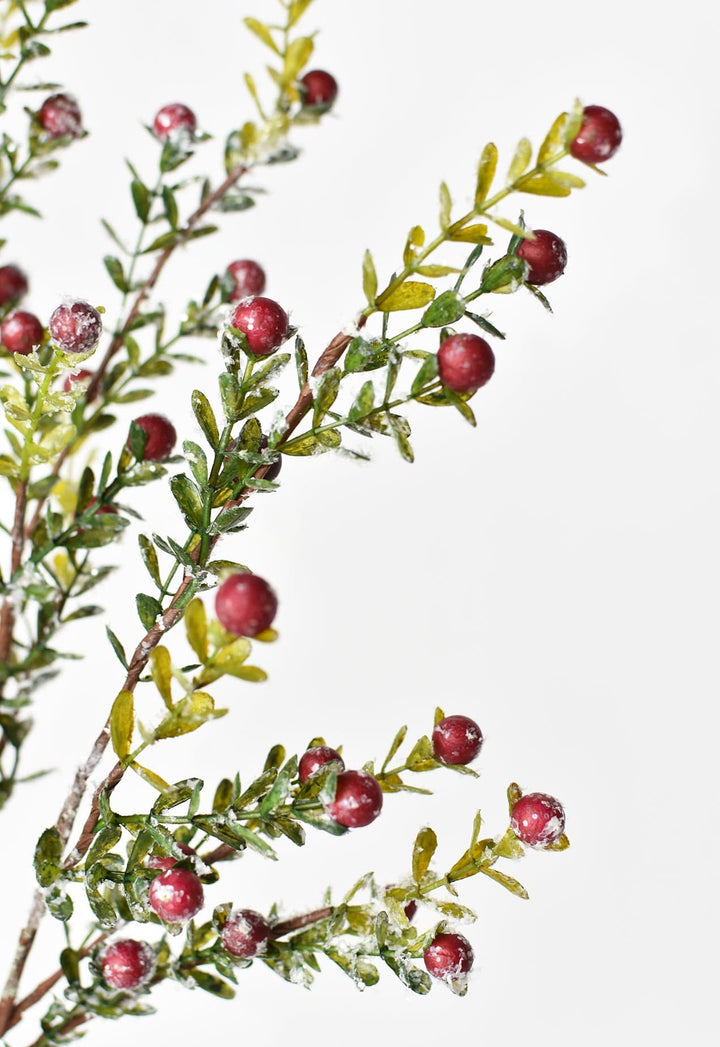 Frosted Berry Greenery Stem, 36"