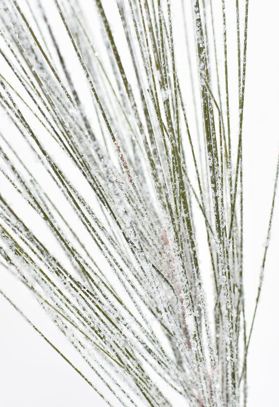 Snowy Long Needle Pine Stem, 18"