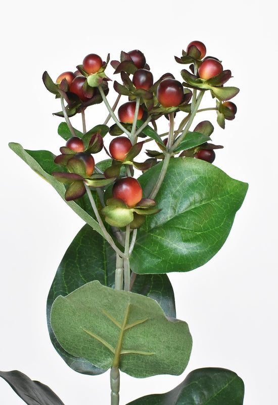 Hypericum Berry Spray, 27.5", Burgundy