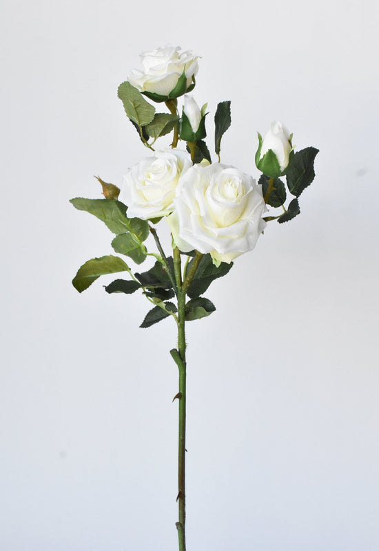 Rose Stem, 22.5", Cream