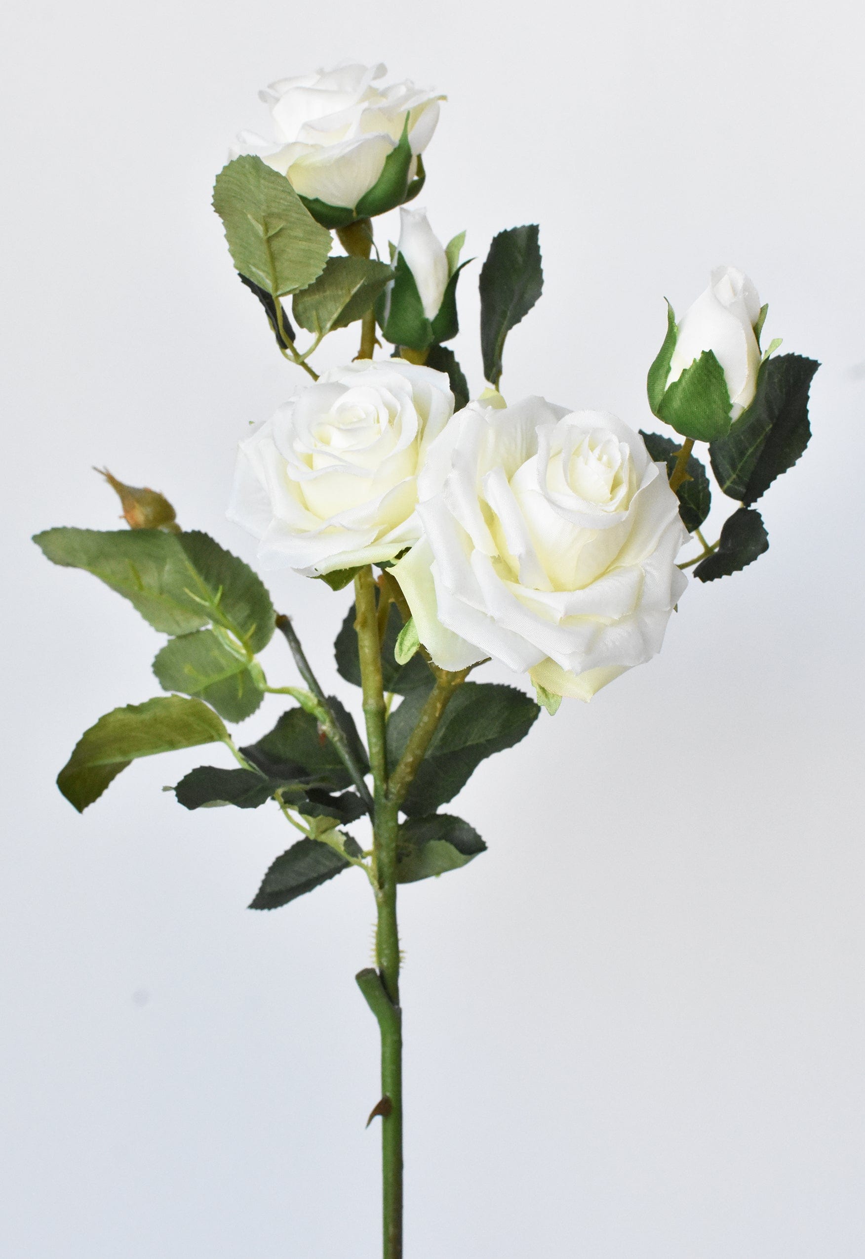 Rose Stem, 22.5", Cream