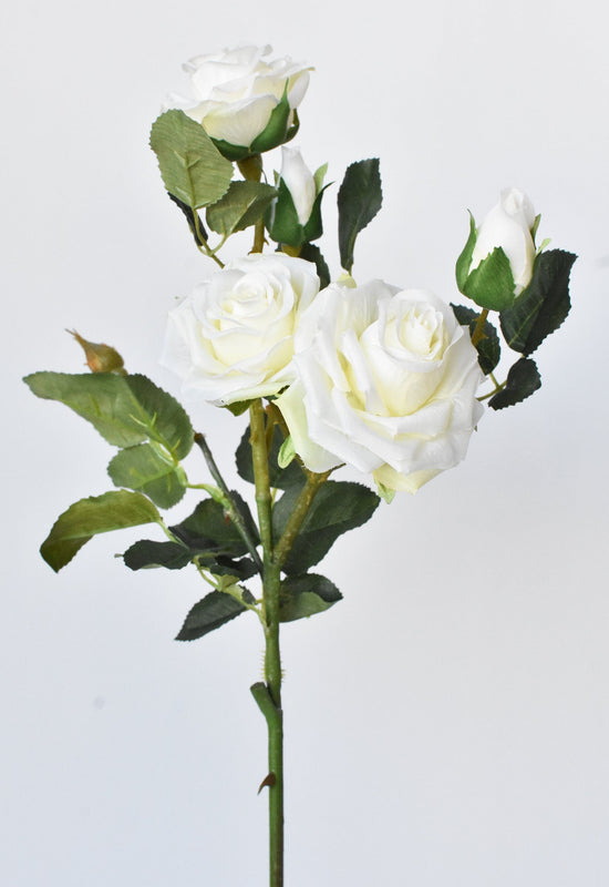 Rose Stem, 22.5", Cream