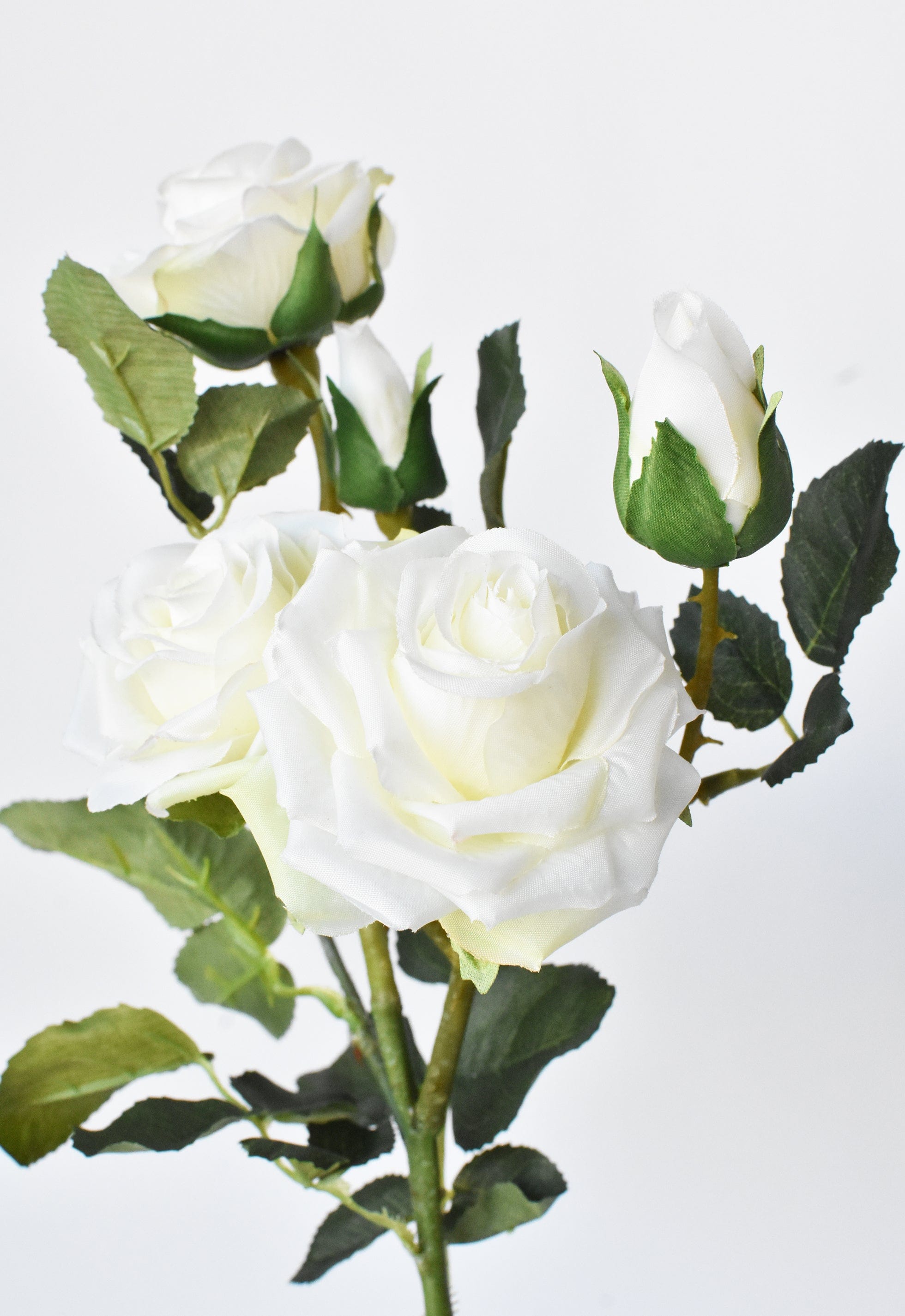 Rose Stem, 22.5", Cream