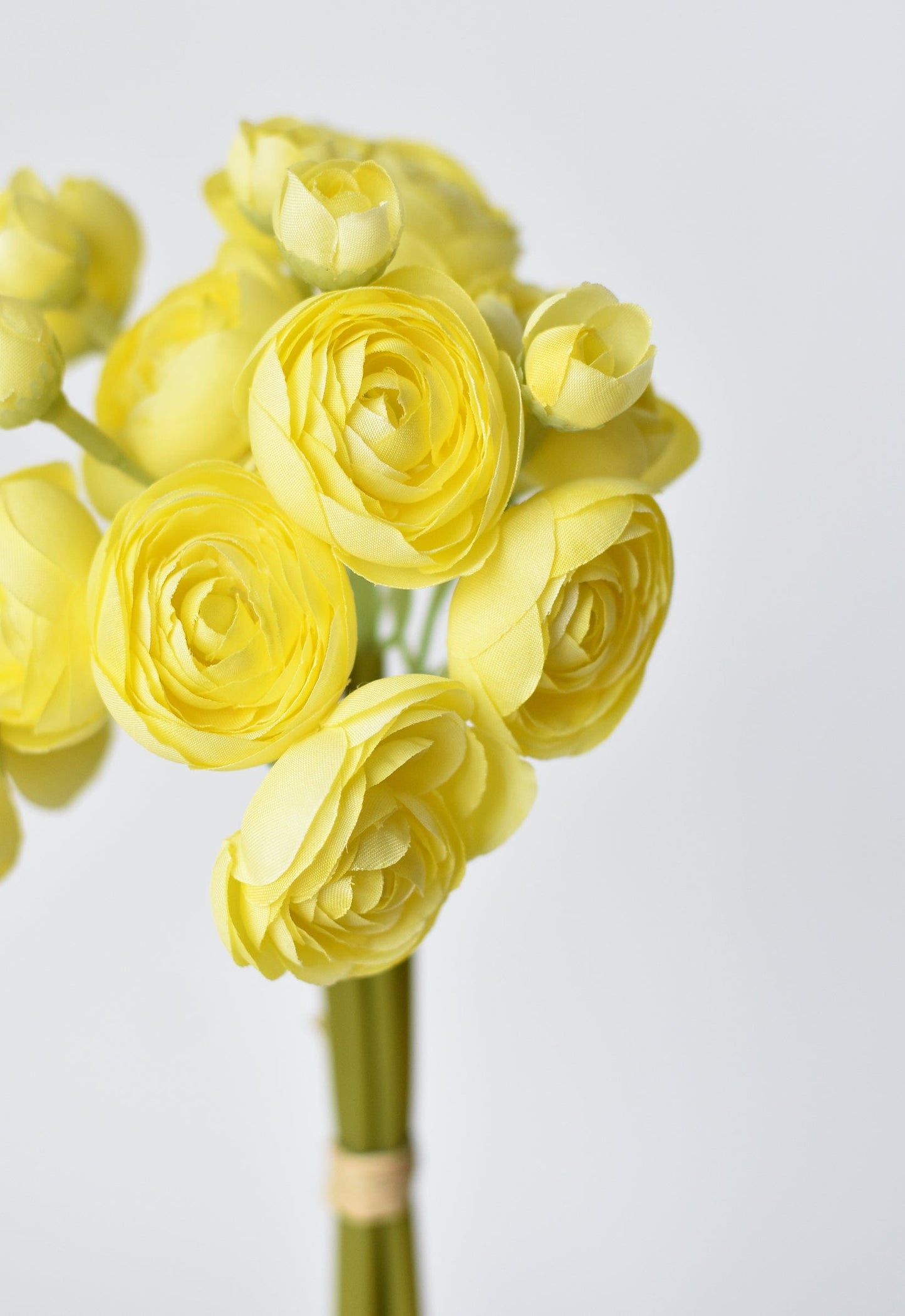 Ranunculus Stem Bundle, 10.5", Light Yellow