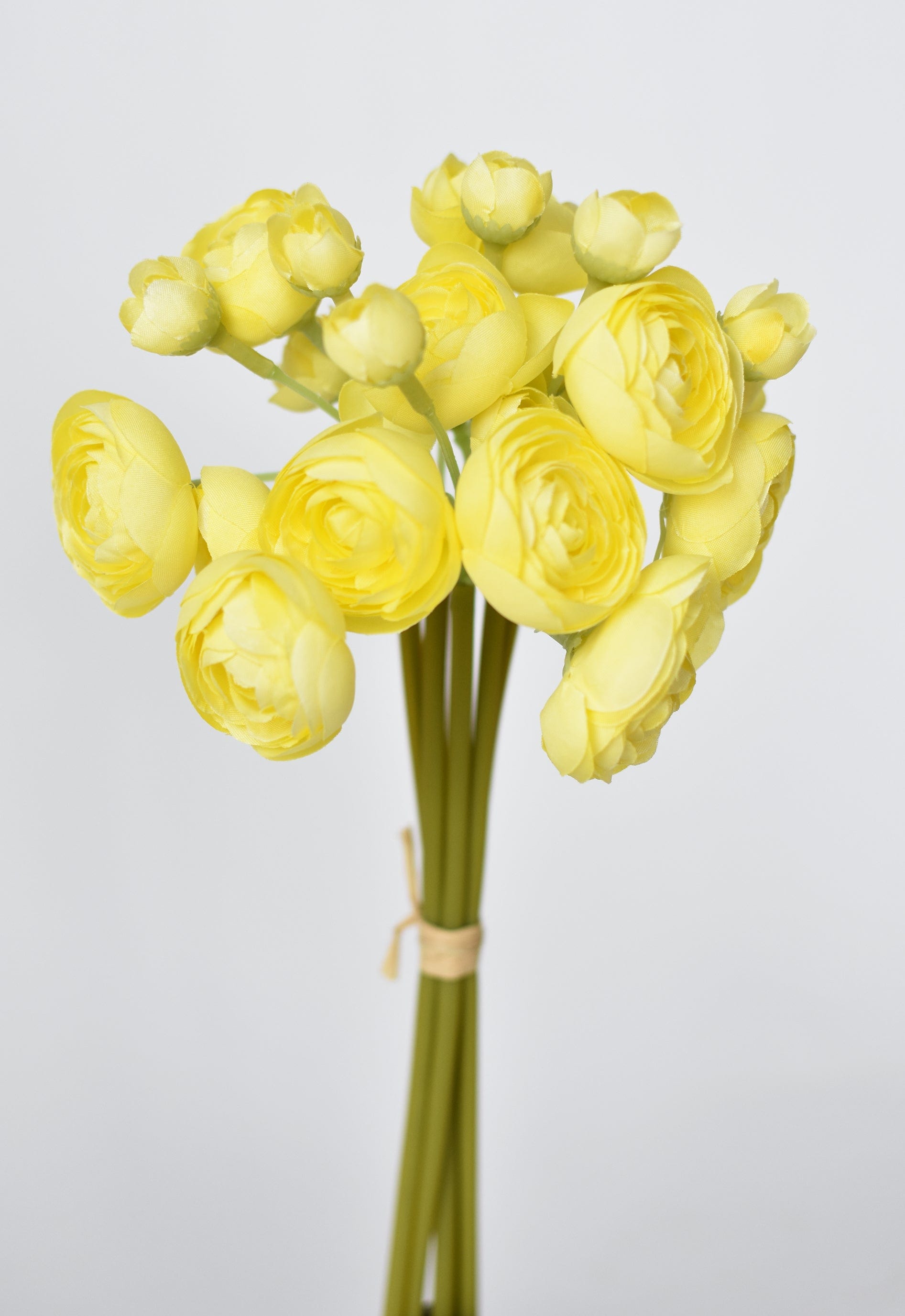 Ranunculus Stem Bundle, 10.5", Light Yellow