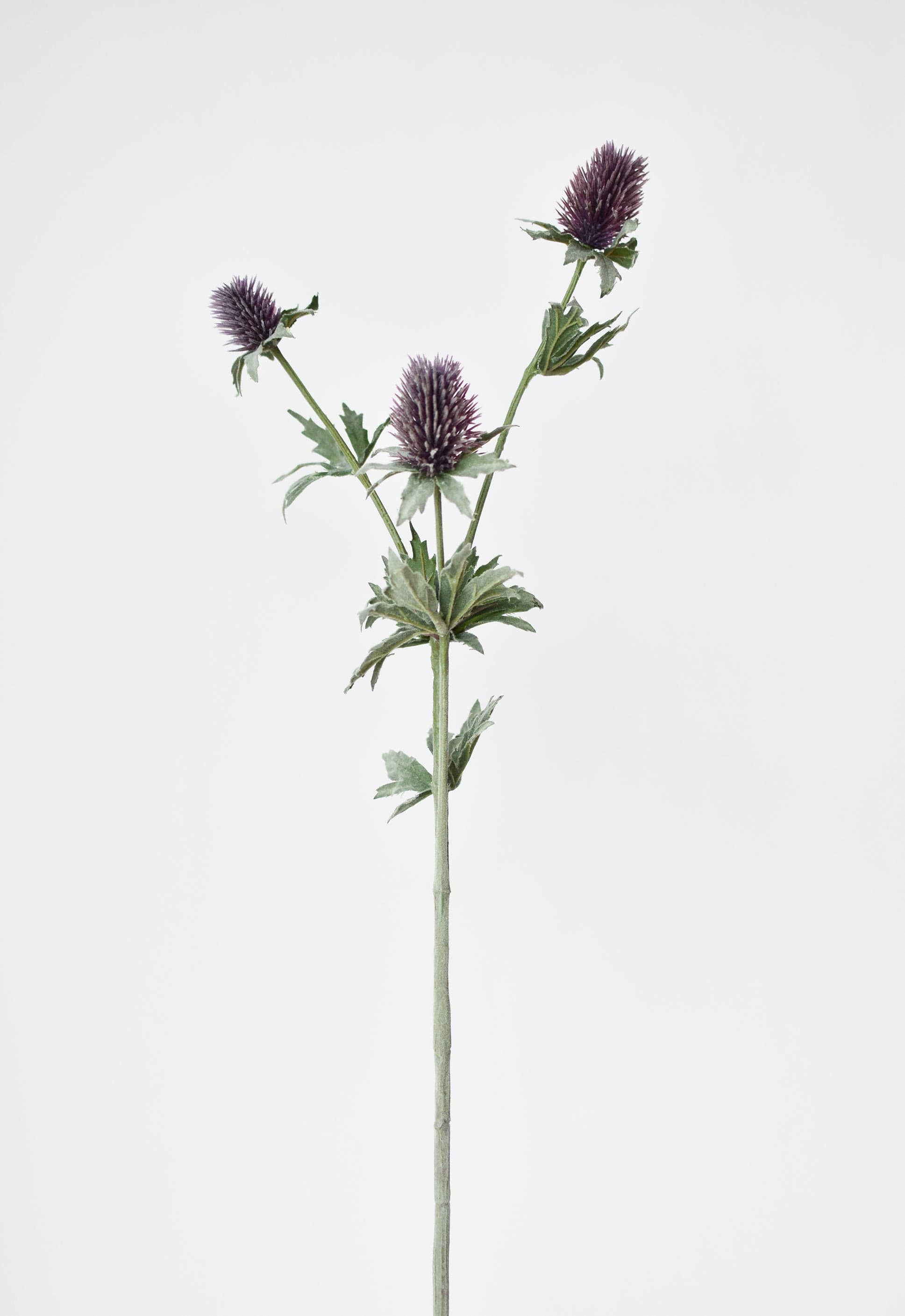 Lavender Thistle Stem, 31"