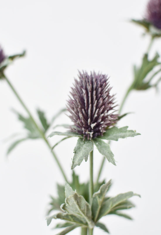 Lavender Thistle Stem, 31"