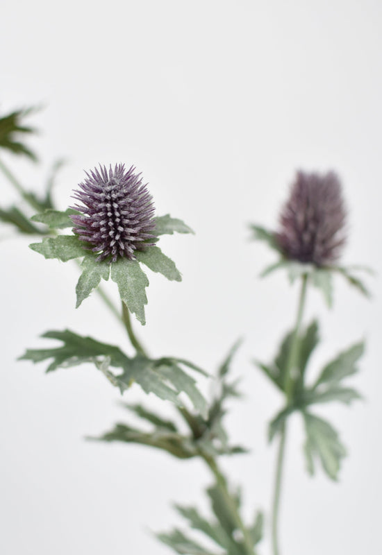 Lavender Thistle Stem, 31"