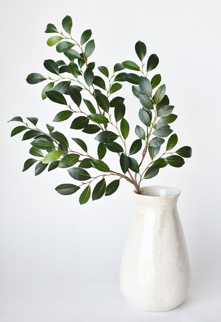 Ruscus Leaf Stem, 26"