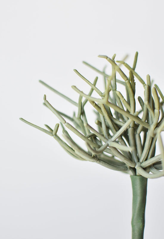 Pencil Cactus Pick, 8", Gray Green, Real Touch