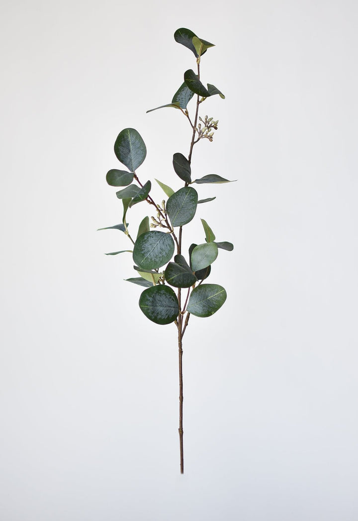 Seeded Eucalyptus Stem, 30"