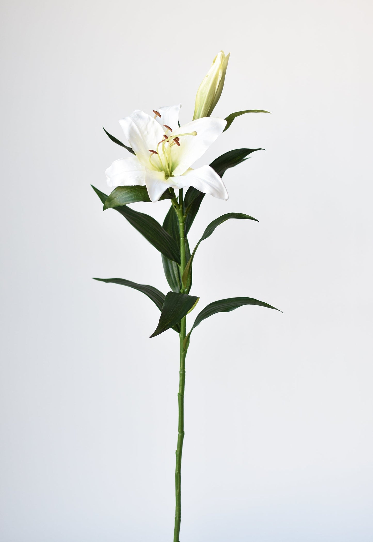 Lily Stem, 35", White