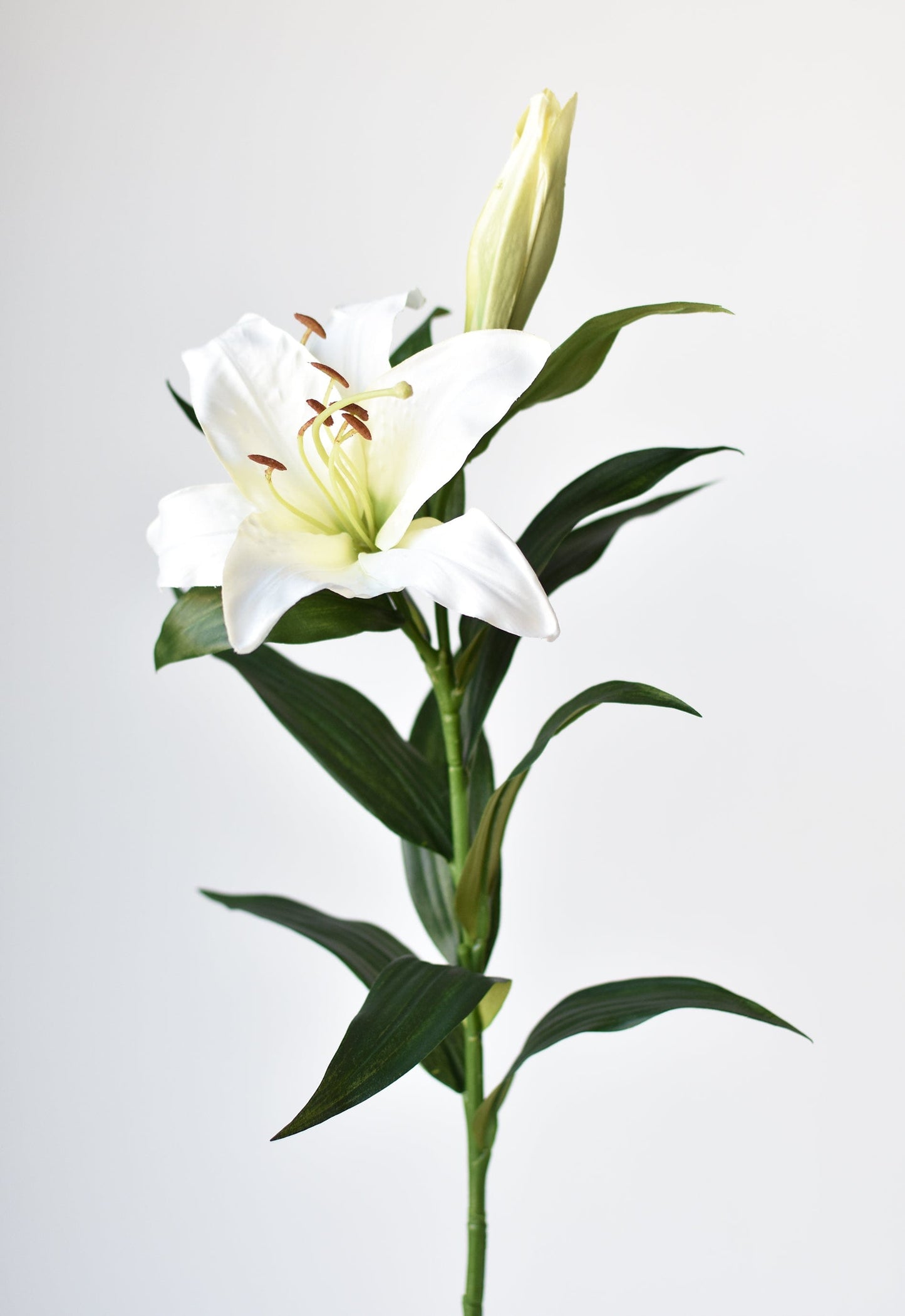 Lily Stem, 35", White