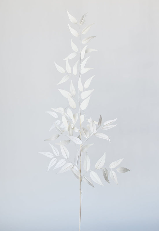 Italian Ruscus Stem, 36", White