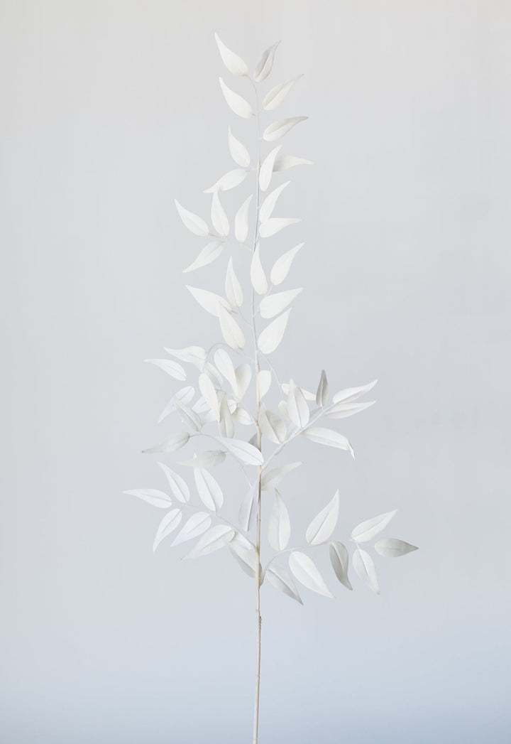 Italian Ruscus Stem, 36", White