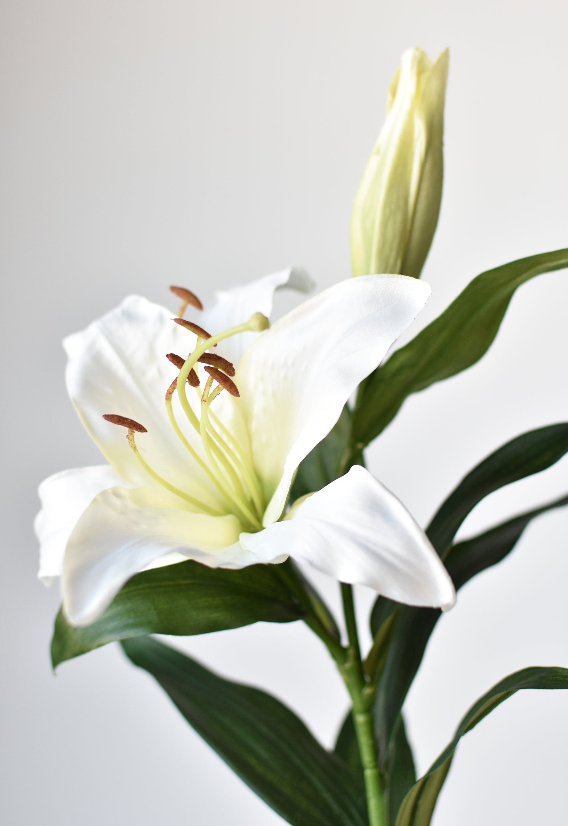 Lily Stem, 35", White