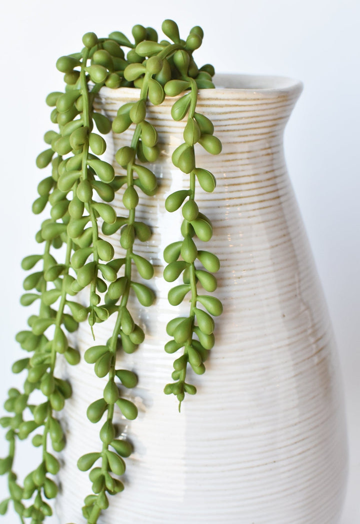 String of Pearl Succulent Stem, 28"