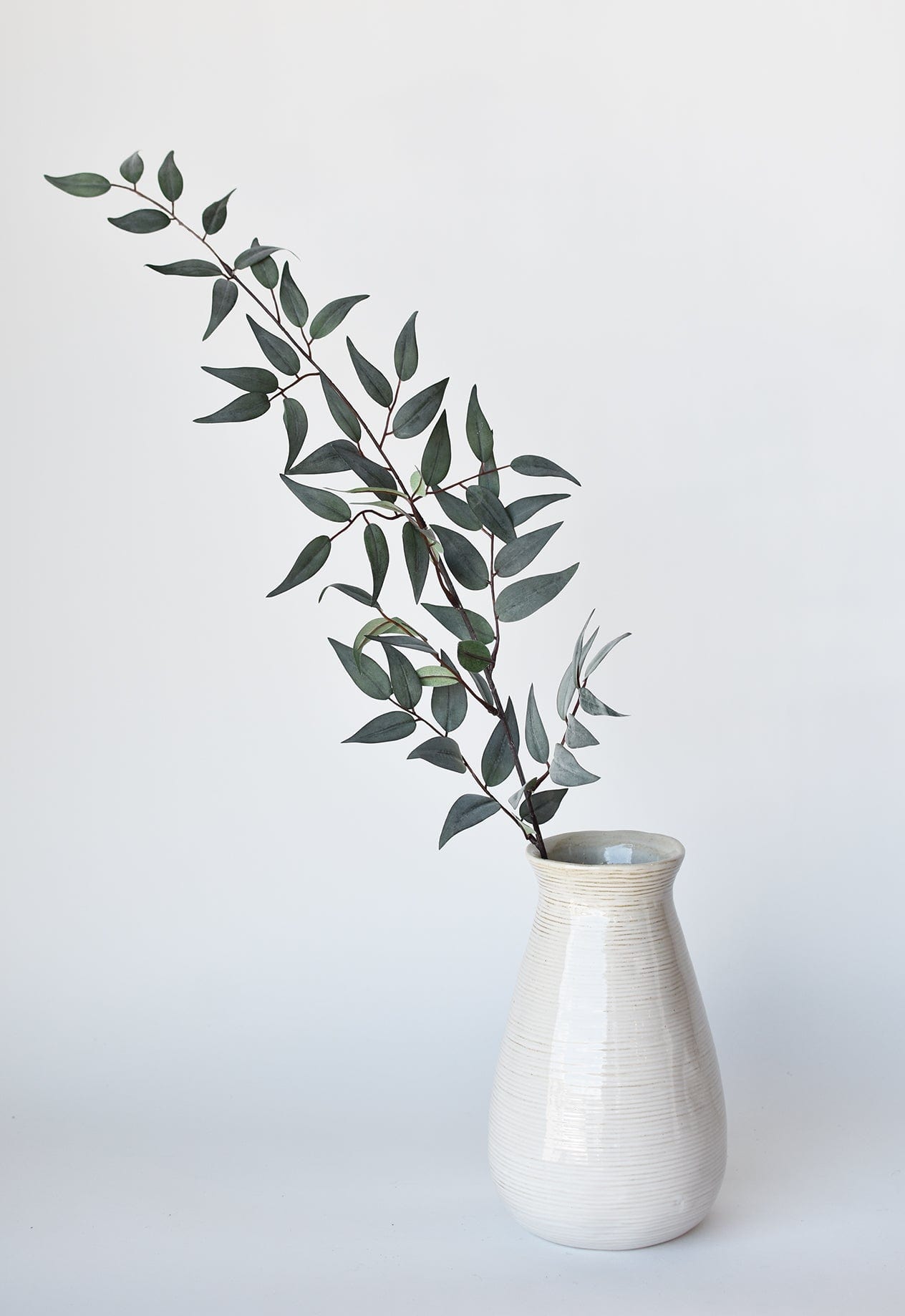 Ruscus Leaf Stem, 36", Gray Green