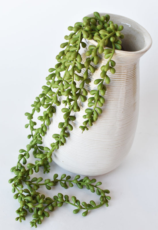 String of Pearl Succulent Stem, 28"