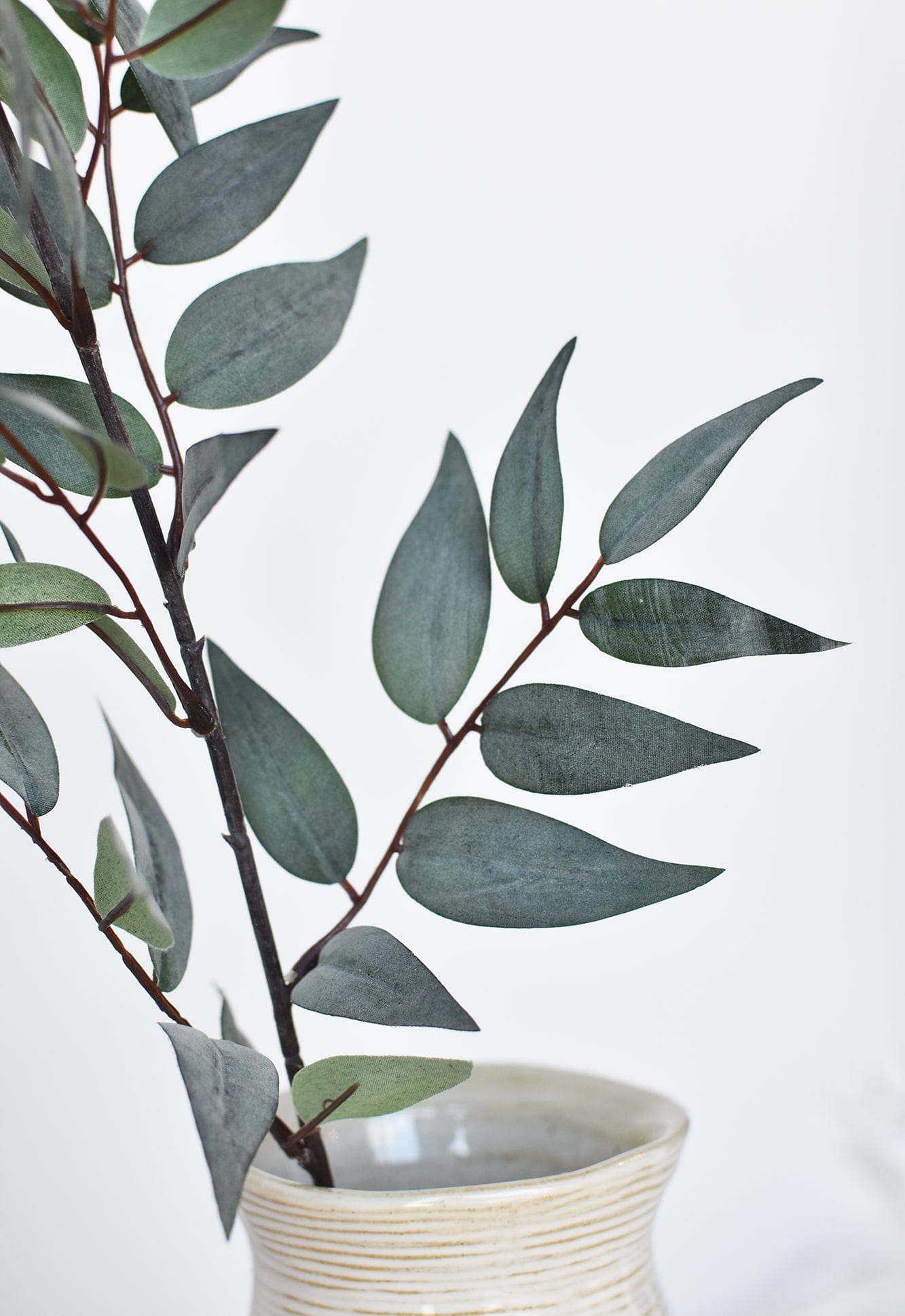 Ruscus Leaf Stem, 36", Gray Green