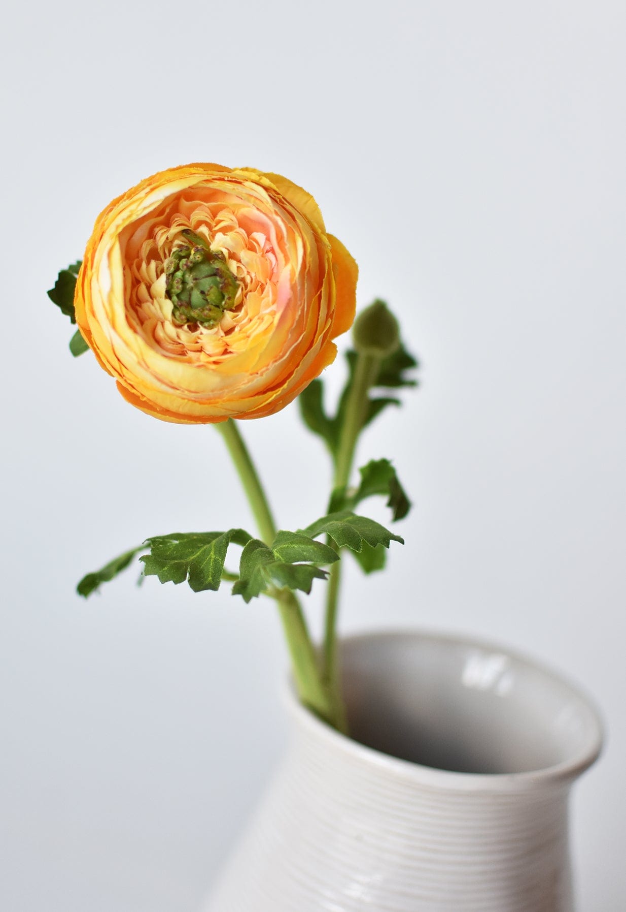 Ranunculus Stem, 13", Yellow Gold